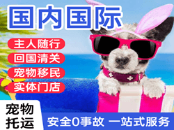 盐城南洋机场快运国际宠物托运 【国
